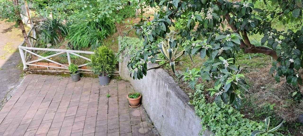 3-Room House For Rent In Batumi, Demetre Tavdadebuli St, 130b view 14