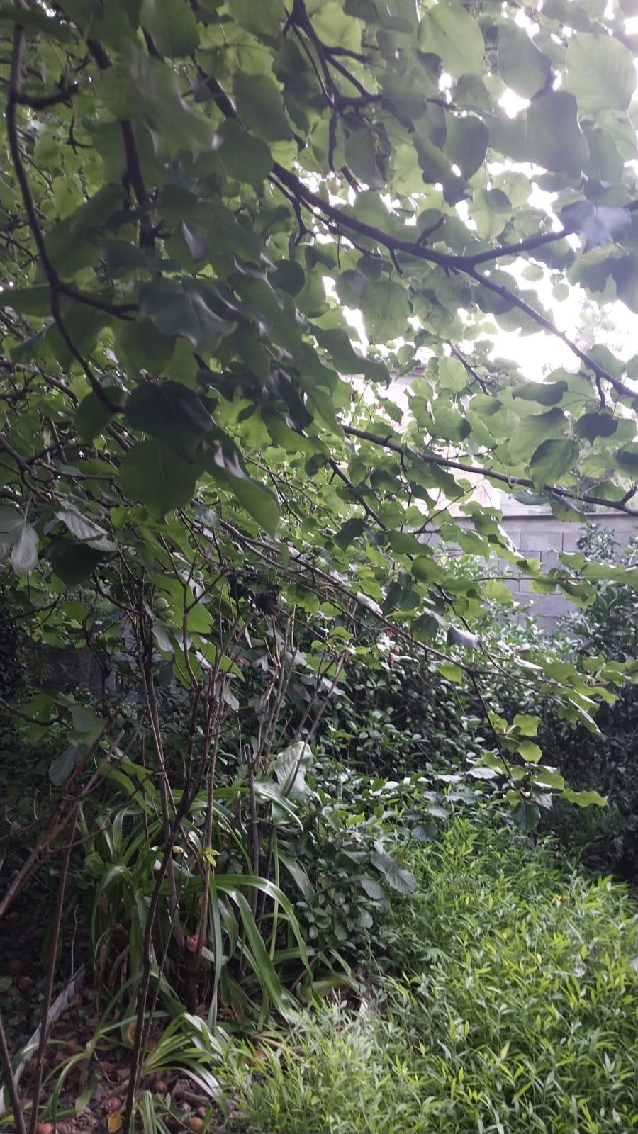 Land For Sale In Batumi, 437 M² For $742,000 view 2