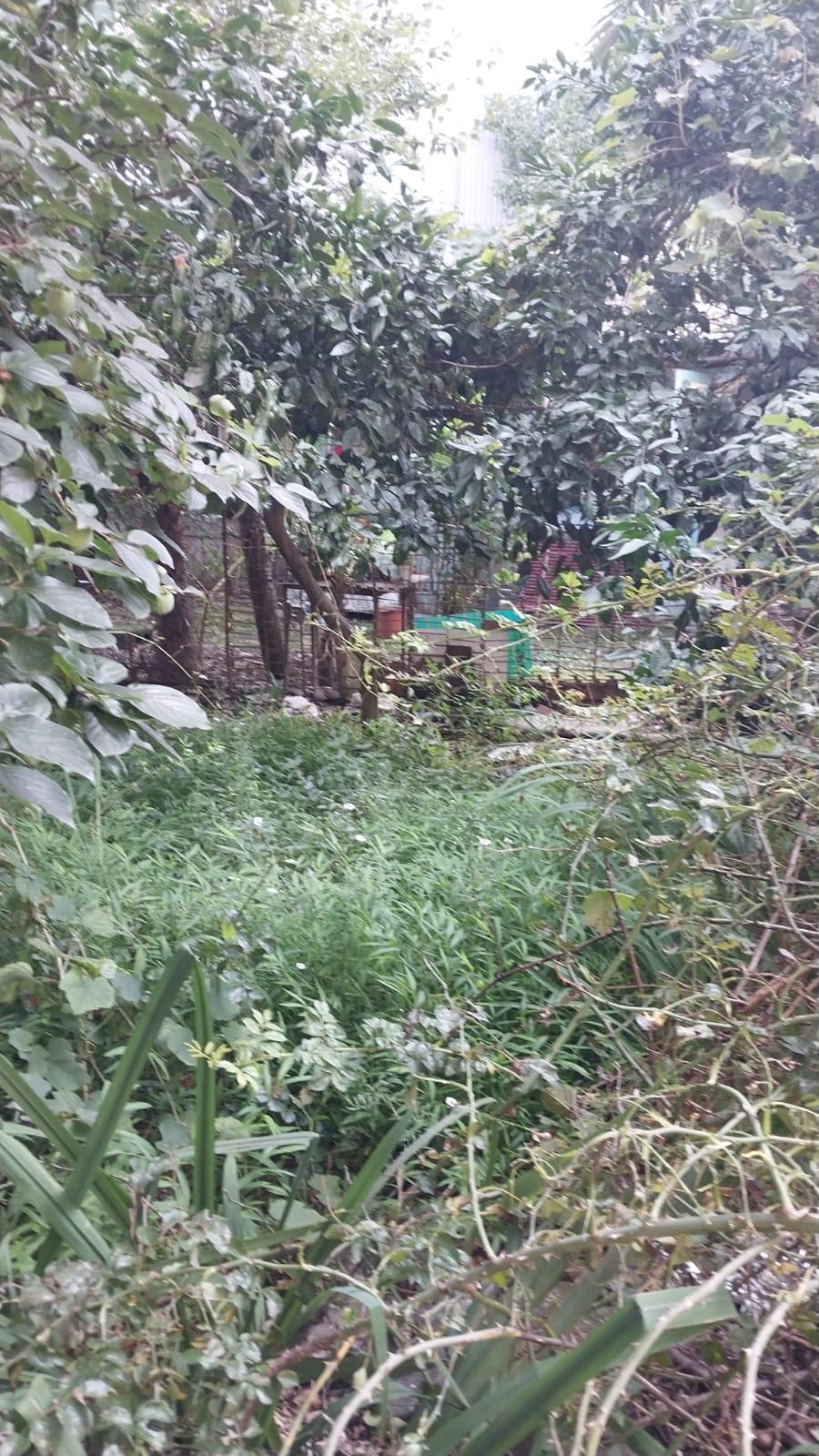 Land For Sale In Batumi, 437 M² For $742,000 view 4