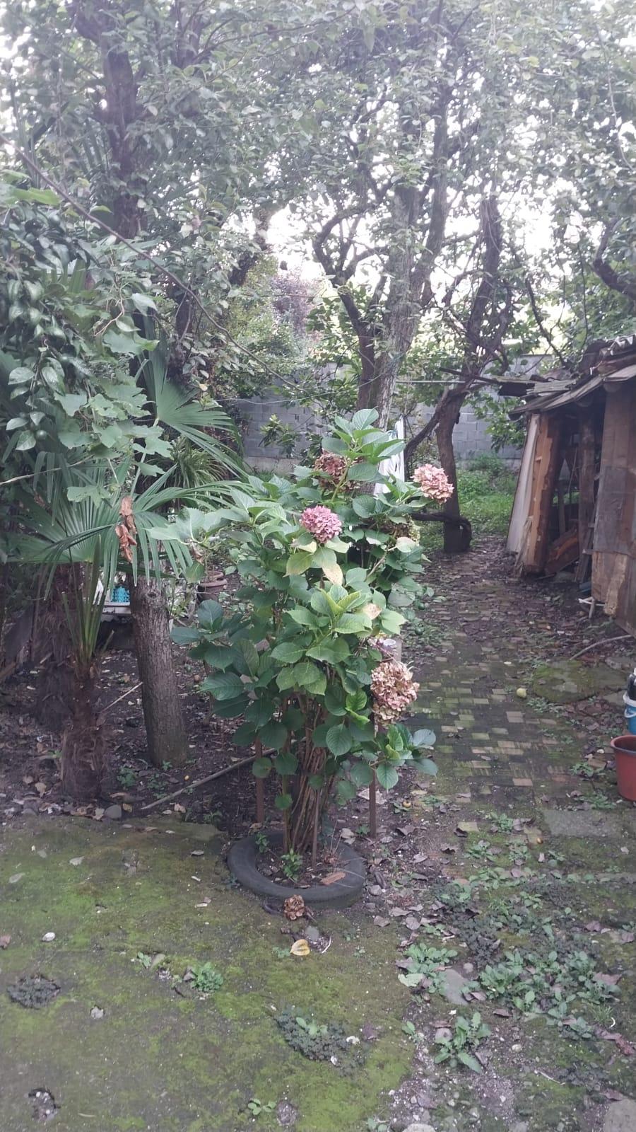 Land For Sale In Batumi, 437 M² For $742,000 view 5