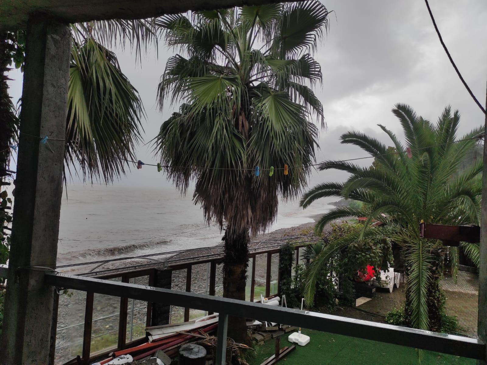 Commercial Property For Rent: 550 M² In Batumi, Tamar Mepe Ave, 3 – $3,000 view 10