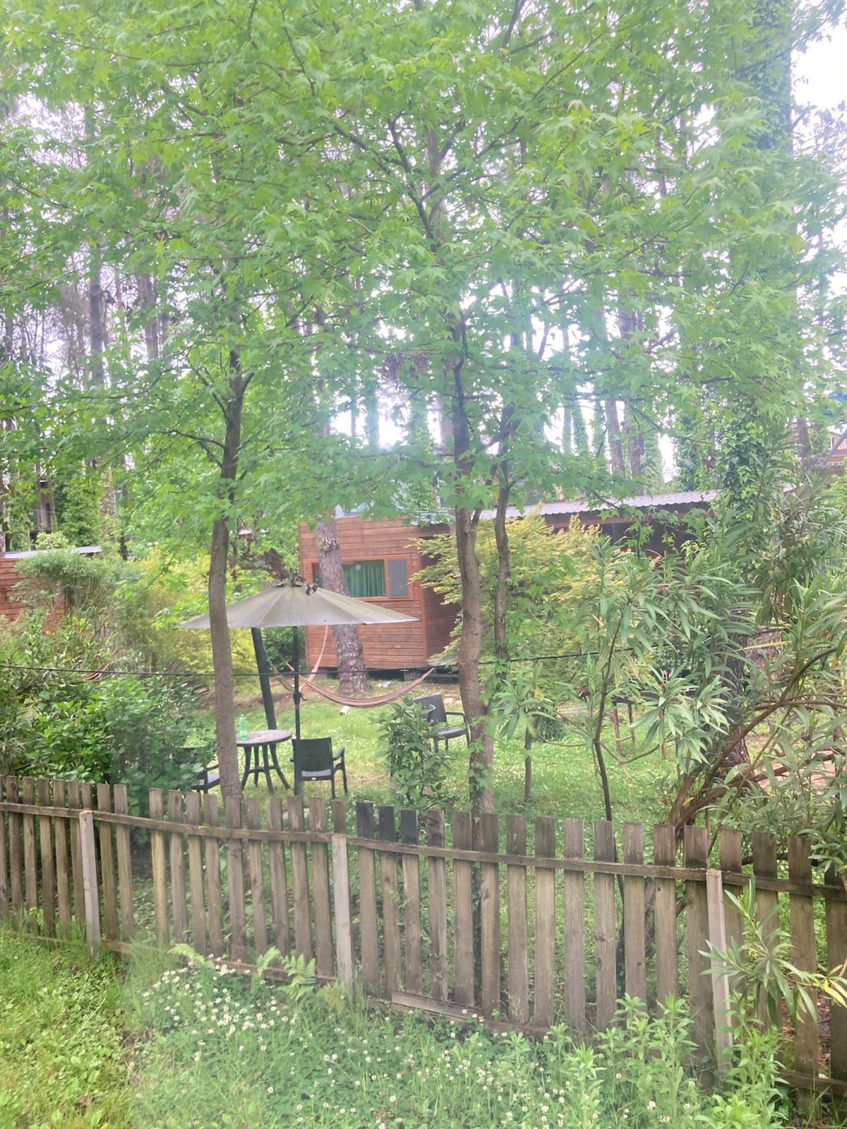 Продажа 5-Room House в In Ureki, Михаила Чануквадзе, 1 view 14