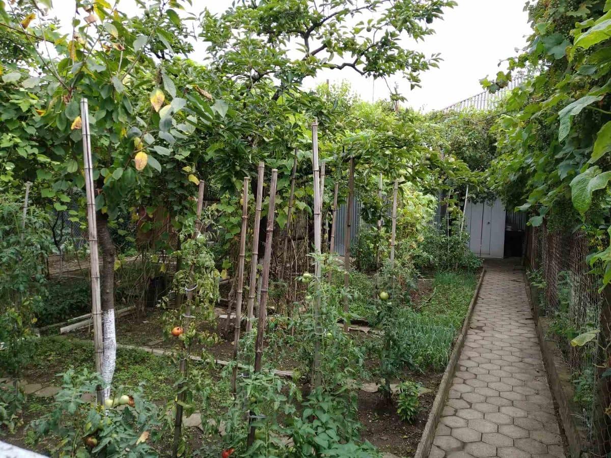 5-Room House For Sale In Batumi, Zakaria Chichinadze St, 38 view 19