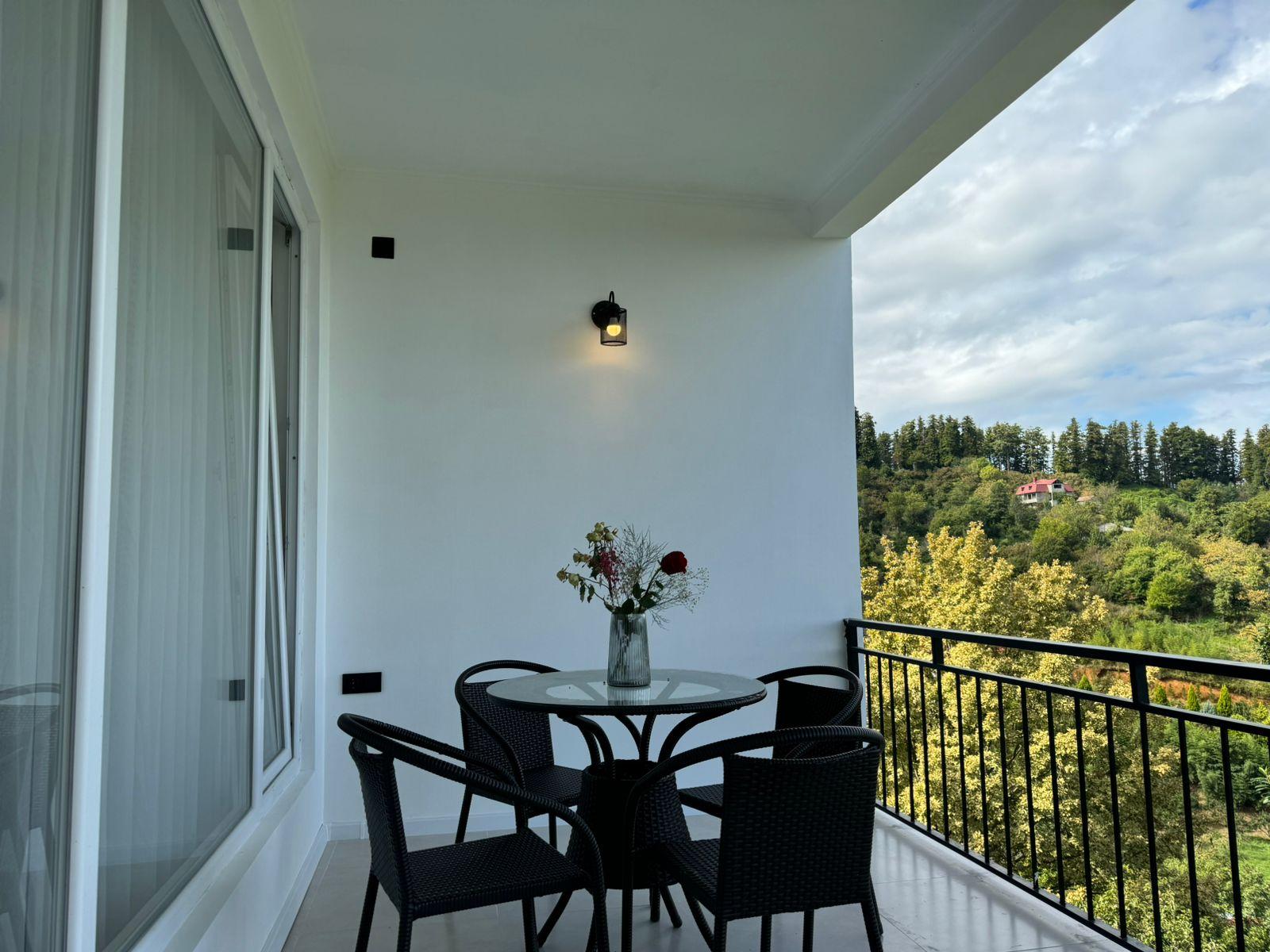 4-Room House For Rent In Batumi, Fridon Khalvashi Ave, 364 view 4