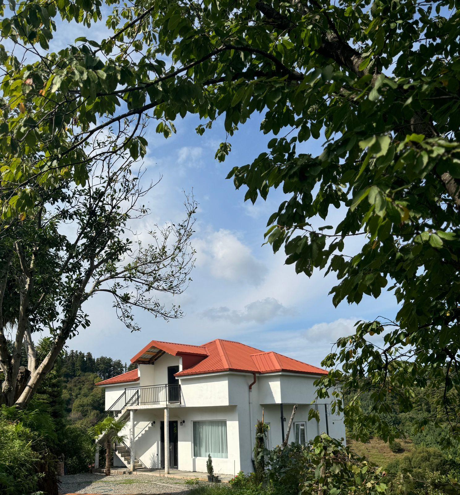 4-Room House For Rent In Batumi, Fridon Khalvashi Ave, 364 view 7