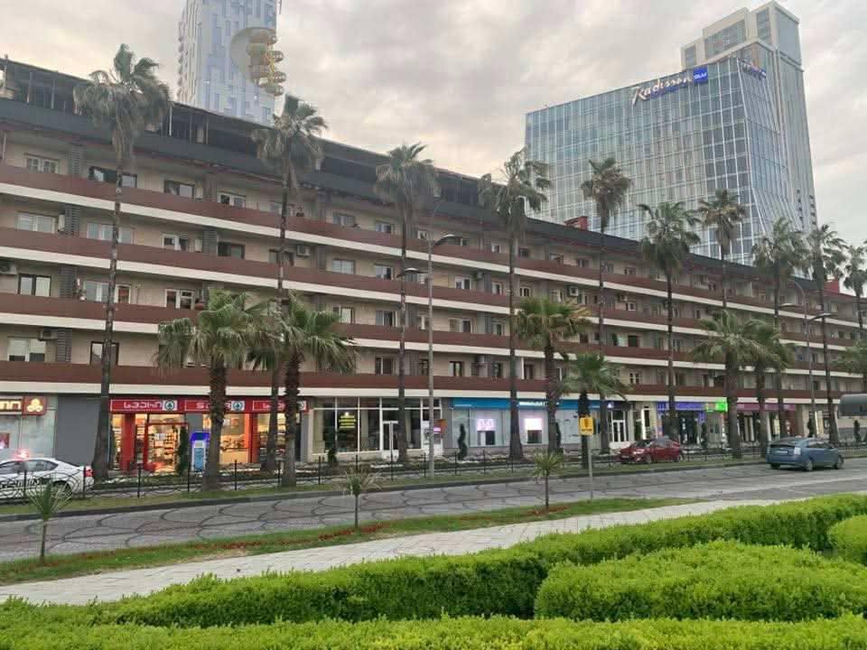 2-Room Apartment For Rent In Batumi, Shota Rustaveli St, 10 view 7