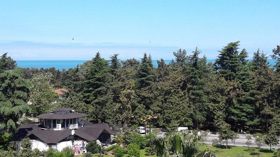 Studio Apartment For Rent In Batumi, 26 May St, 13 view 5