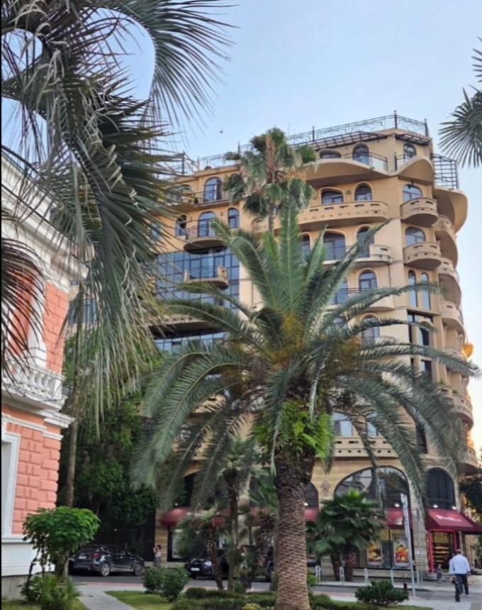 2-Room Apartment For Rent In Batumi, Zurab Gorgiladze St, 9 view 12