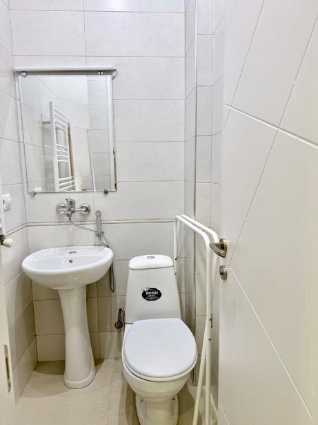 3-Room Apartment For Rent In Tbilisi, Kote Marjanishvili St, 16 view 12