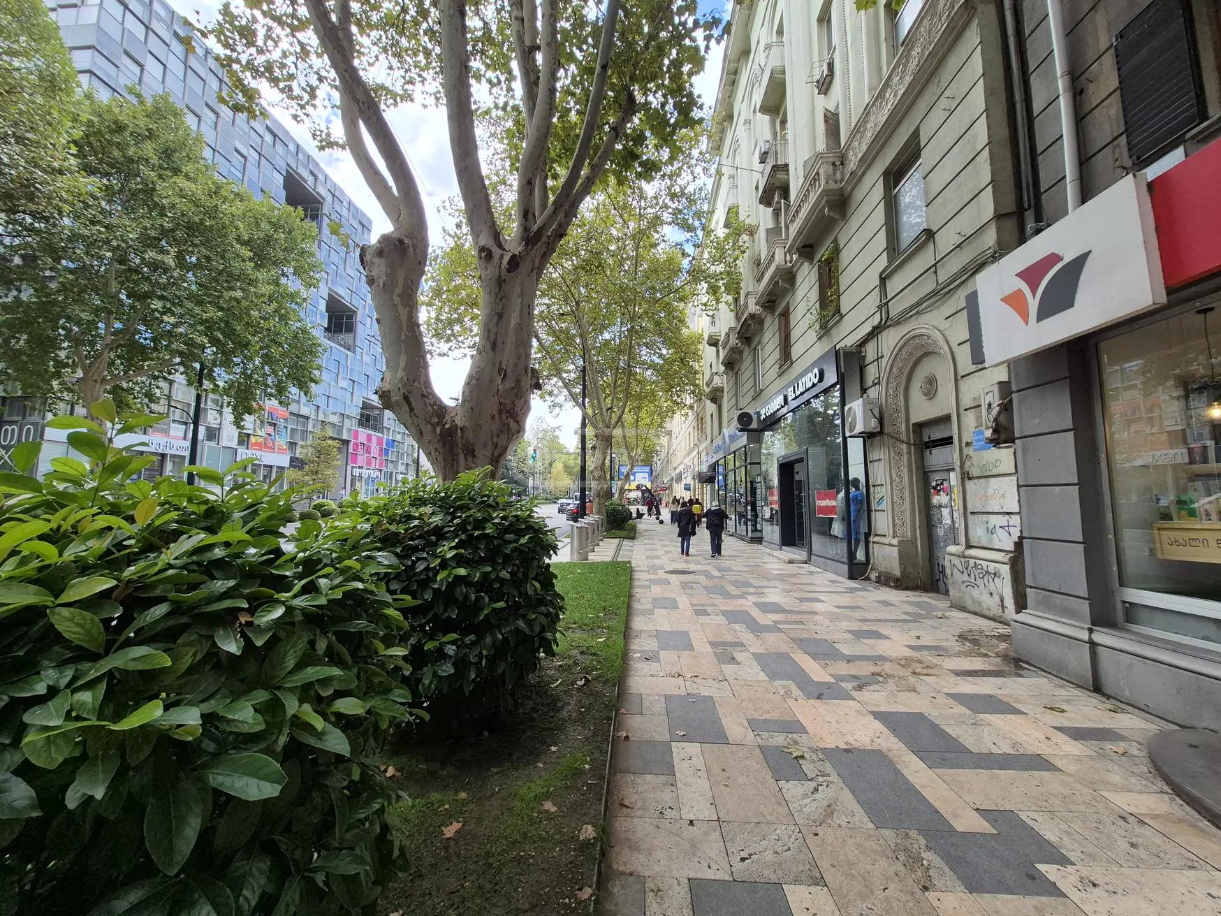 Ilia Chavchavadze Ave, 17: 3-Room, 90.0 M² | Korter.Ge view 11