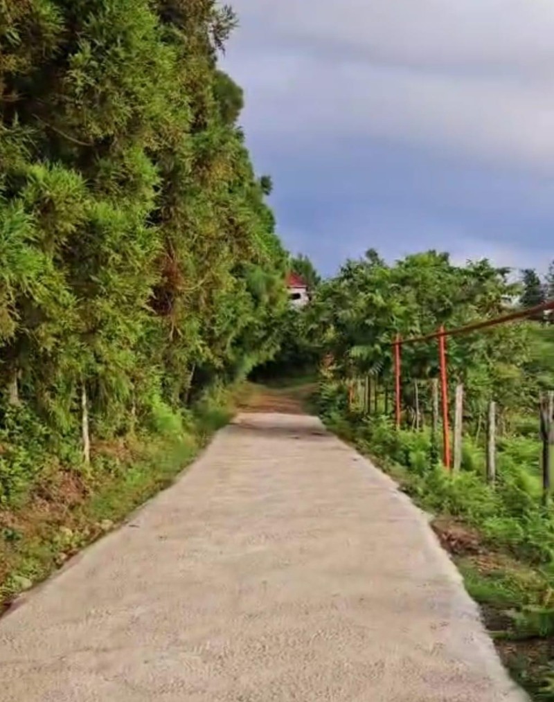 Land For Sale In Batumi, 1,723 M² For $172,300 view 5