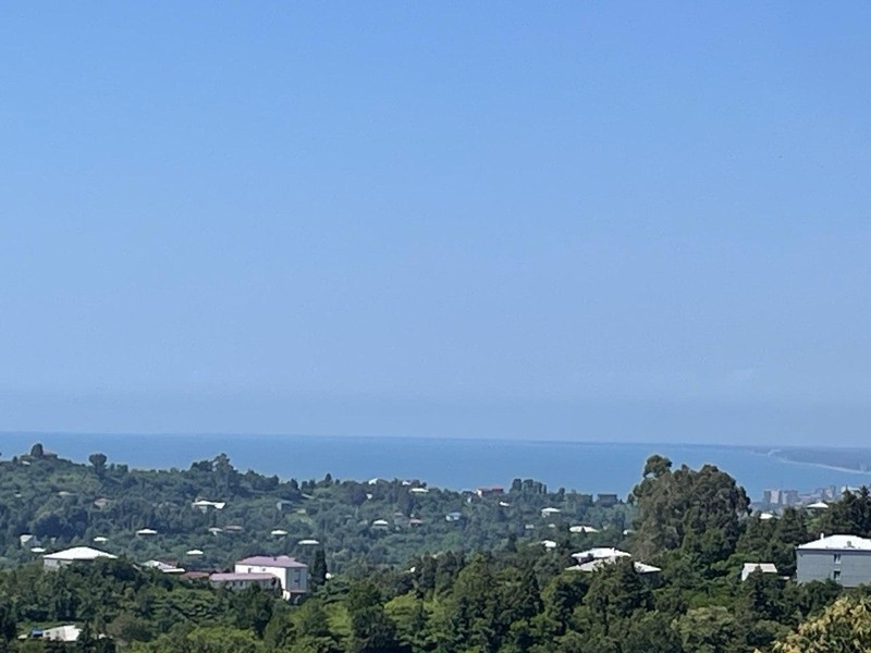 Продажа 5-Room Country House в In Chakvi, Tamar Mepe Ave view 8