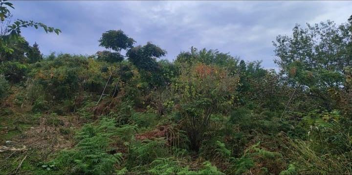 Land For Sale In Chakvi, 500 M² For $30,000 view 3