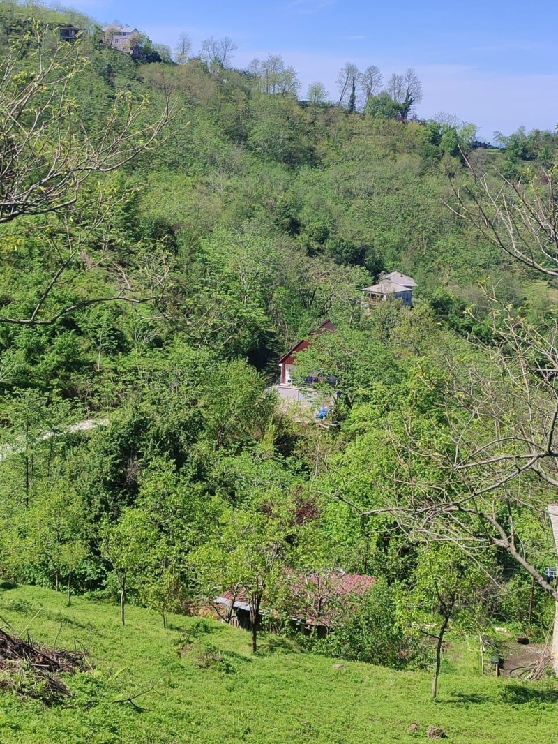 Land For Sale In Batumi, 2,585 M² For $207,000 view 10