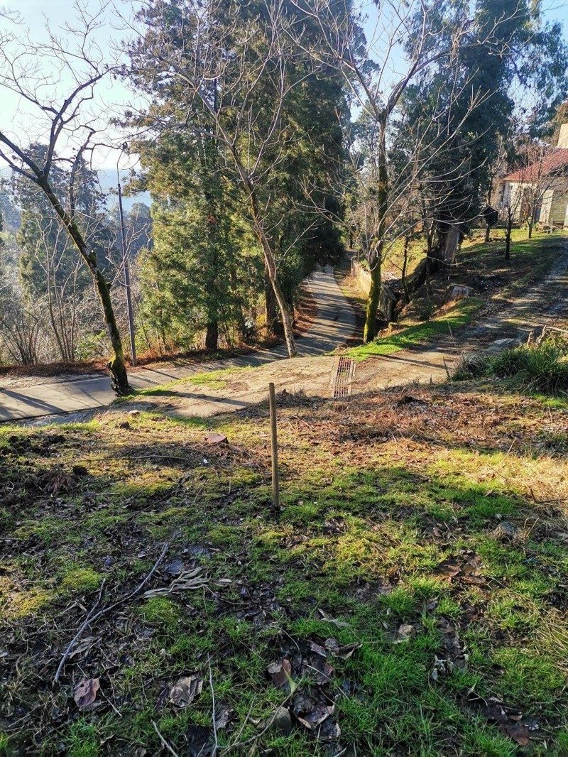 იყიდება მიწა In Chakvi, 1, 500 M² For $144, 000ში view 9