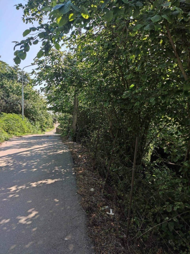 Land For Sale In Batumi, 1,500 M² For $180,000 view 5