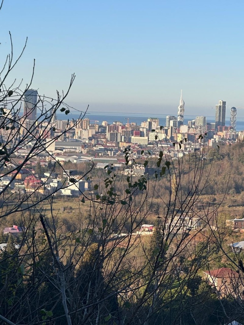 Land For Sale In Batumi, 2,010 M² For $220,000 view 7