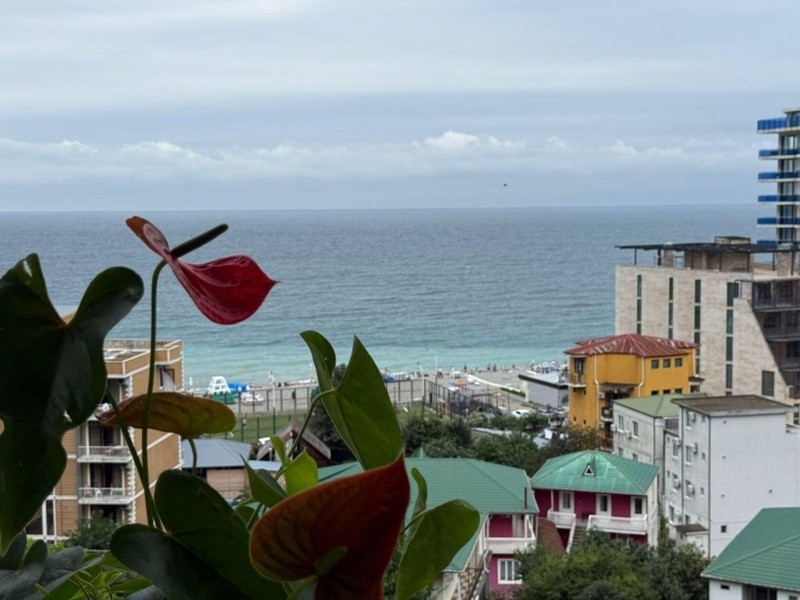 Commercial Property For Sale: 670 M² In Kvariati, Tsminda Andria Pirveltsodebuli 8th Dead End, 104 – $1,300,000 view 8