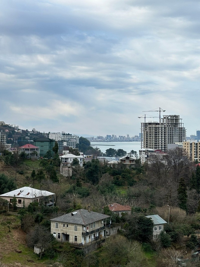 Commercial Property For Sale: 1,500 M² In Batumi, Tamar Mepe Ave – $755,000 view 8