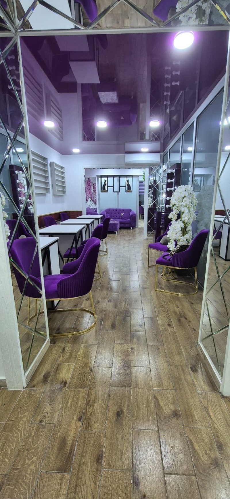 Commercial Property For Sale: 200 M² In Batumi, Haidar Abashidze St, 5/7 – $450,000 view 11