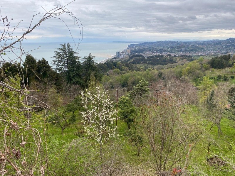 Land For Sale In Batumi, 1,701 M² For $204,000 view 6