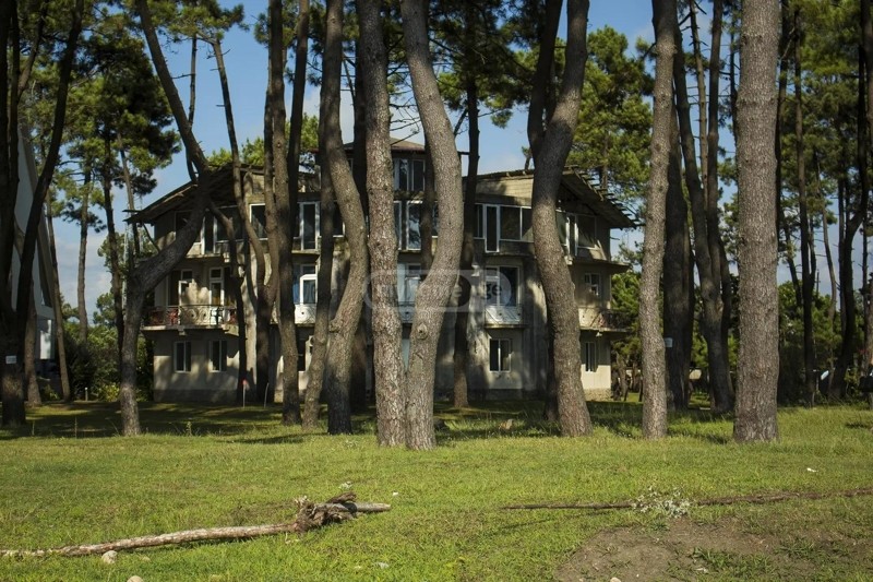Commercial Property For Sale: 7,313 M² In Ureki, Grigolet – $1,500,000 view 7