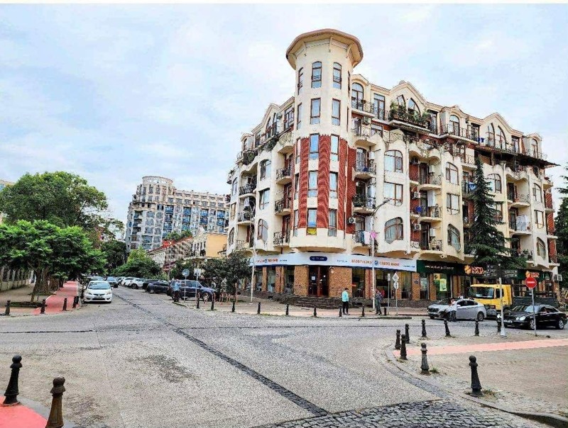 2-Room Apartment For Rent In Batumi, Vakhtang Gorgasali St, 49 view 10