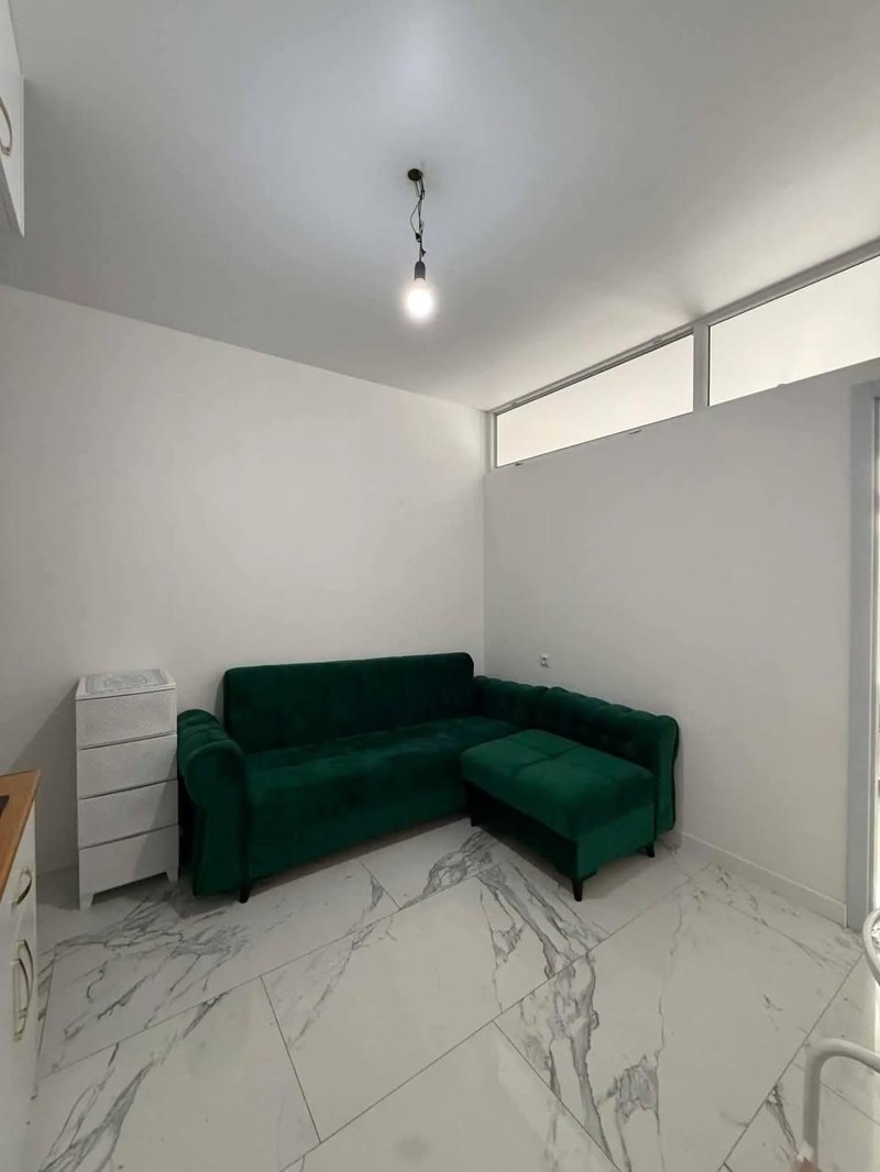 2-Room Apartment For Rent In Batumi, A.Sector view 6