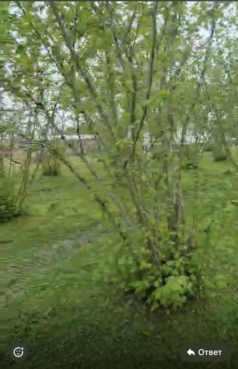 Land For Sale In Batumi, 960 M² For $25,000 view 6