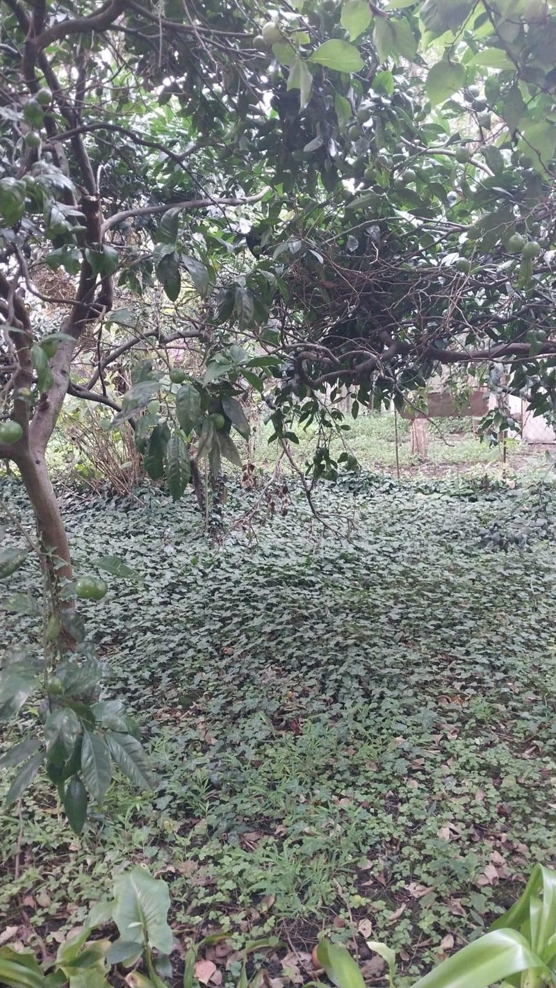 Land For Sale In Batumi, 437 M² For $742,000 view 11