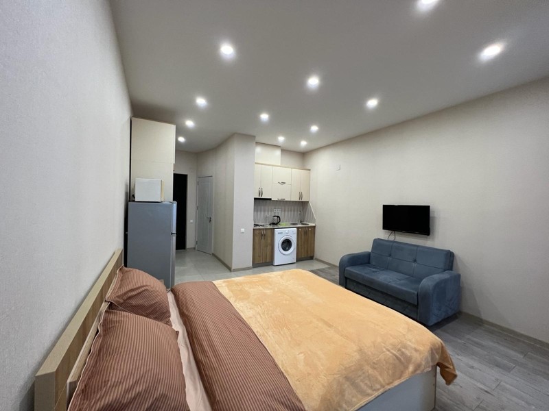 1-Room Apartment For Rent In Batumi, Zhiuli Shartava Ave, 13 view 5