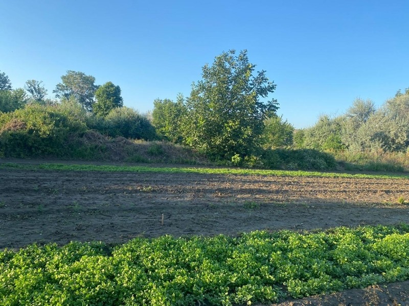 Marneuli St: Plot, None M² | Korter.Ge view 1