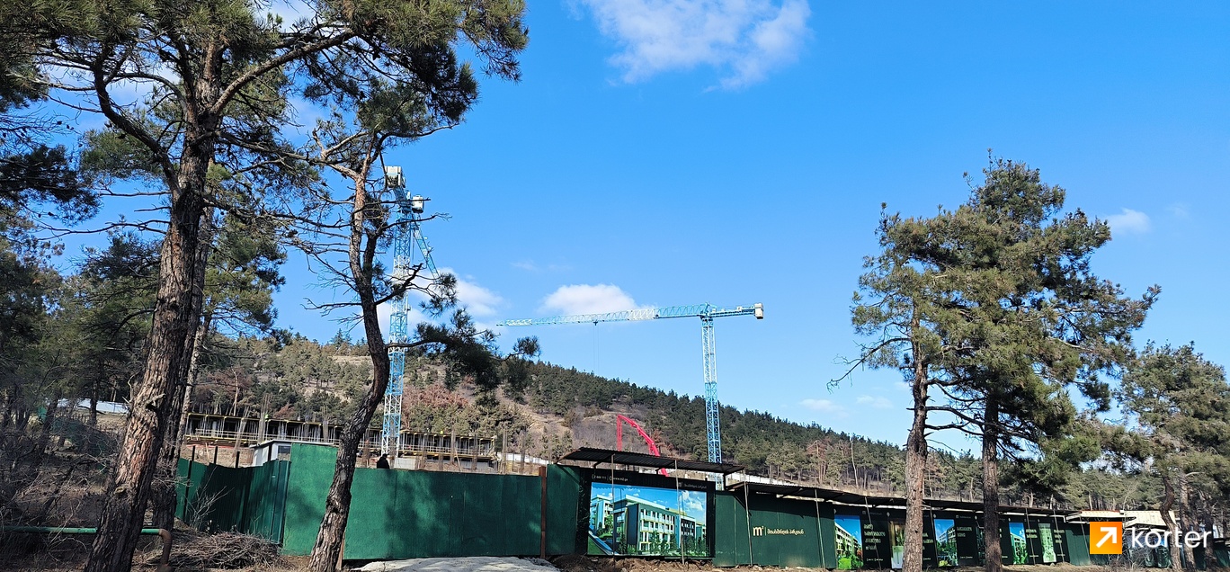 Construction progress m² Mtatsminda Park - Spot 2, თებერვალი 2024