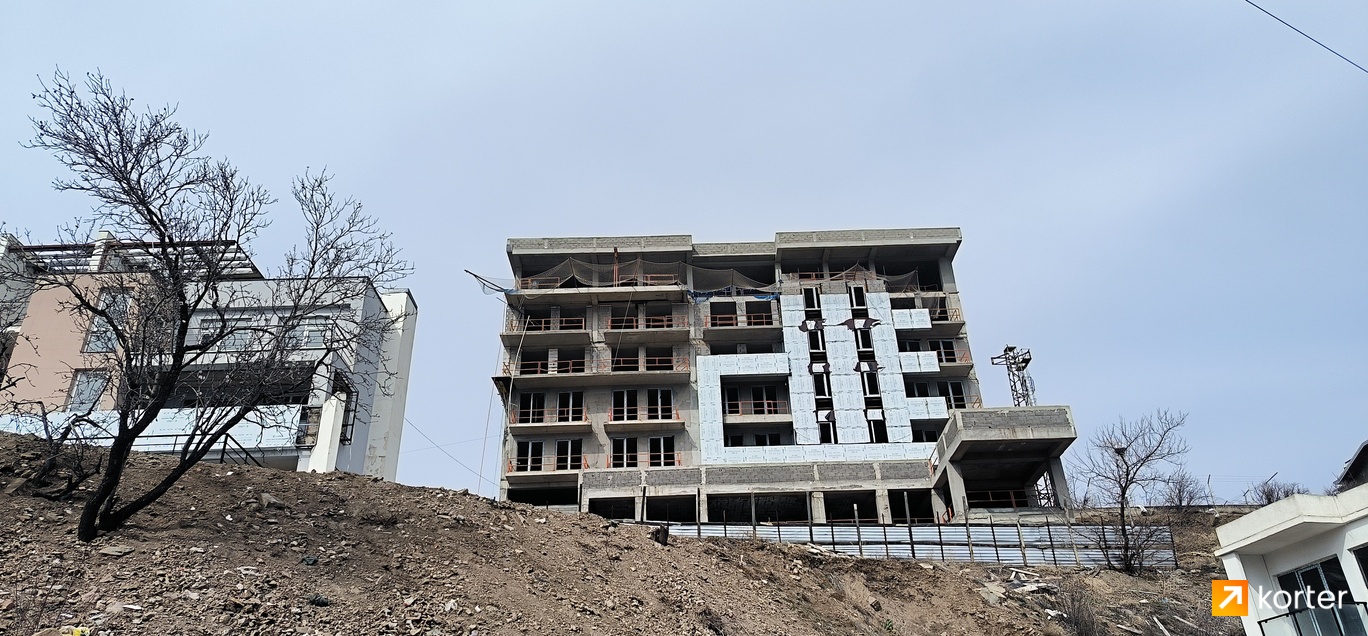 მშენებლობის პროცესი Lisi Panorama - რაკურსი 2, March 2024