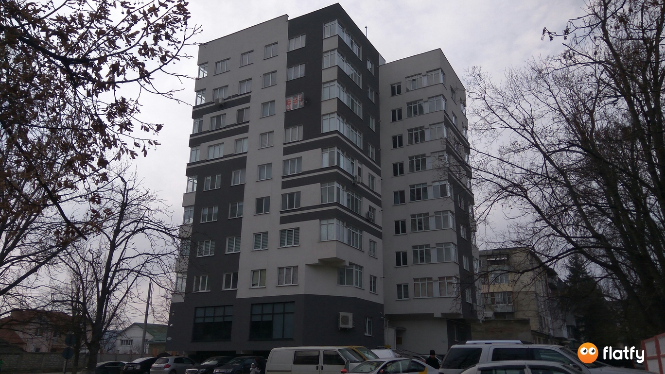 Evoluția construcției Complexului Bloc Locativ Vasile Lupu 34/2 - Punct 2, februarie 2019