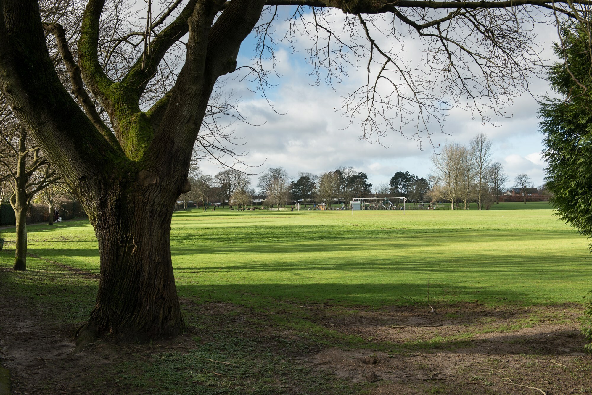 Broadleaf Place in Surrey