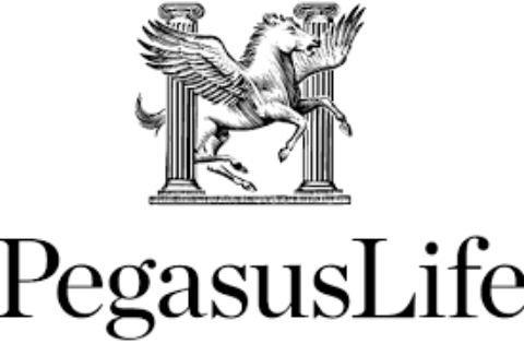 Pegasus