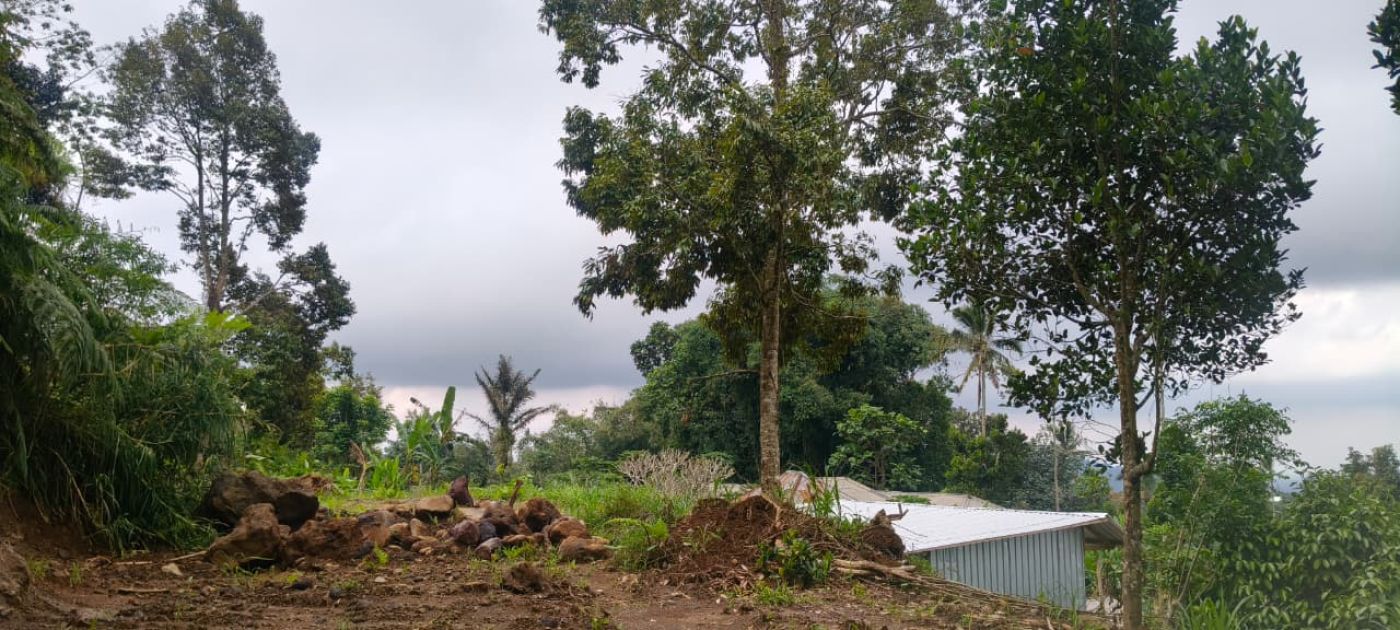 Freehold Land for Sale Baturiti Tabanan By Ayu, photo 2