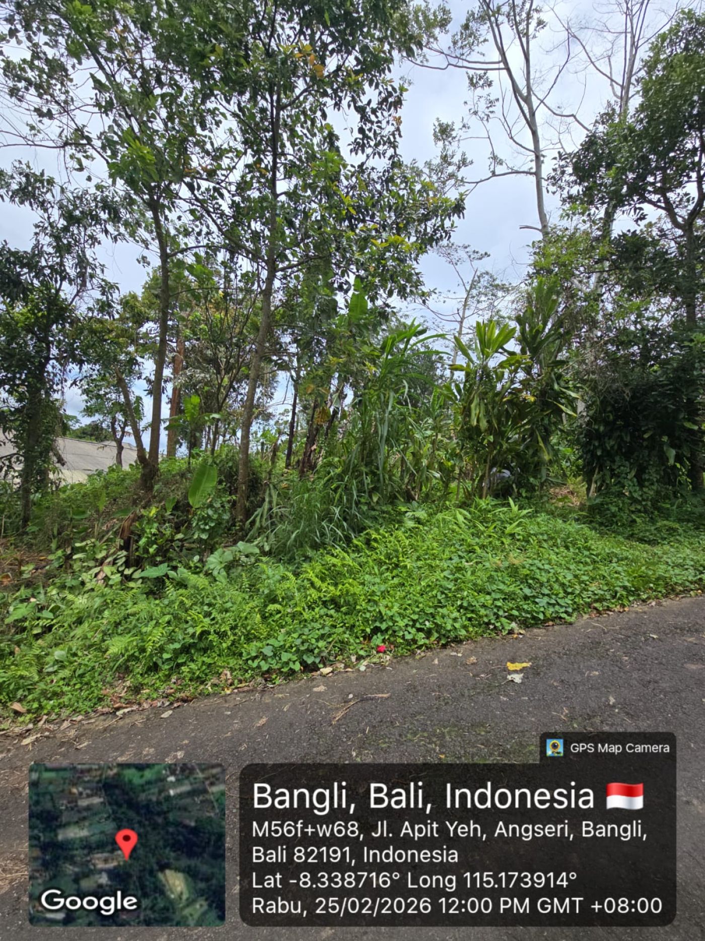 Freehold Land for Sale Baturiti Tabanan By Ayu, photo 4