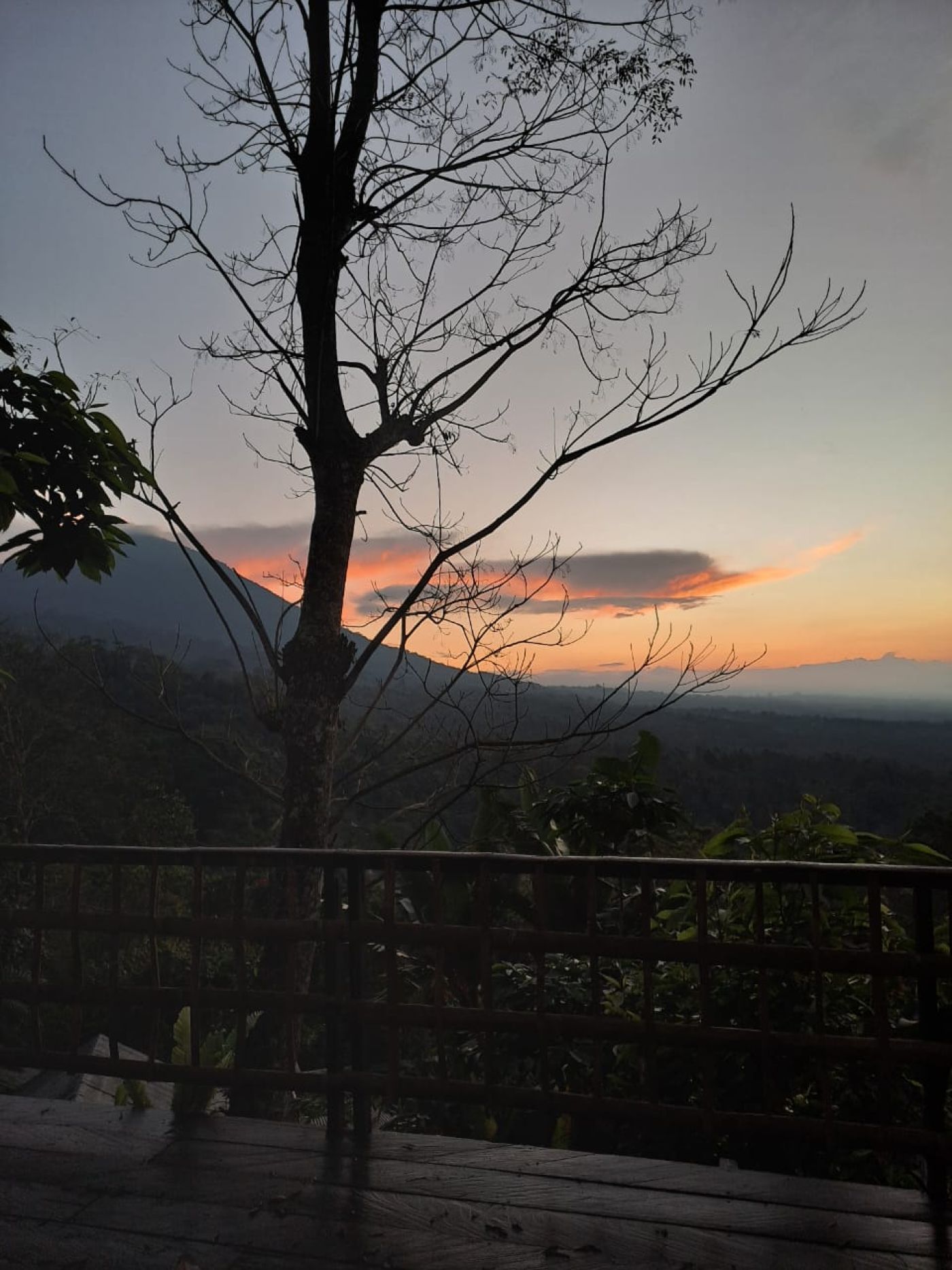 Sang giri tent resort jatiluwih, photo 3