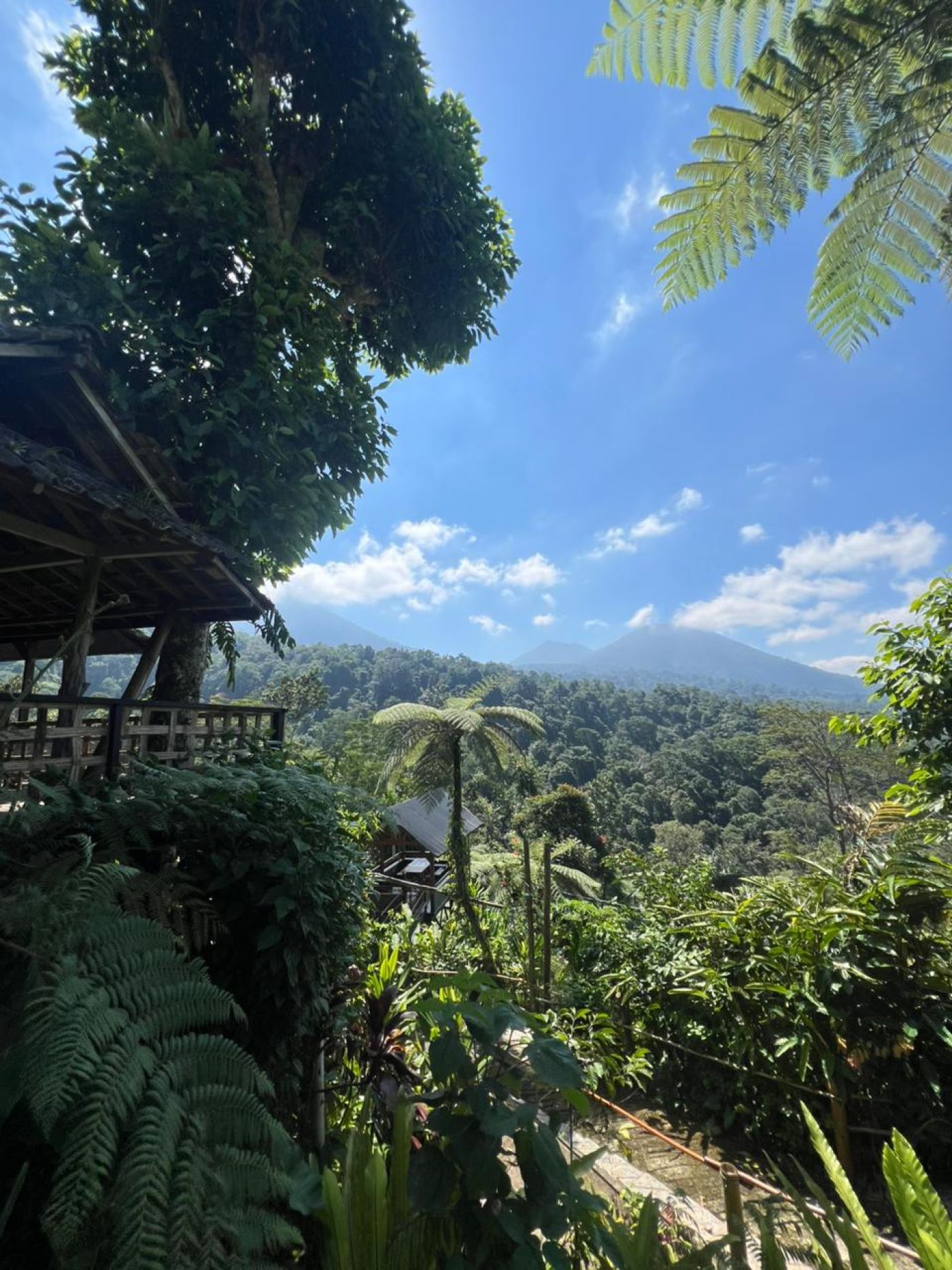 Sang giri tent resort jatiluwih, photo 9