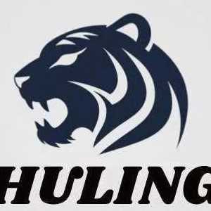 holing limited