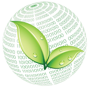 Binate Solutions Ltd.
