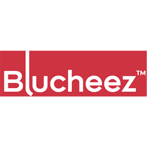 blucheez outfitters
