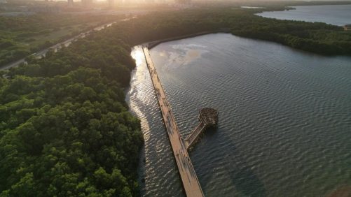 Tribunal admite acción popular de la Procuraduría para frenar el deterioro ambiental en la Ciénaga de Mallorquín
