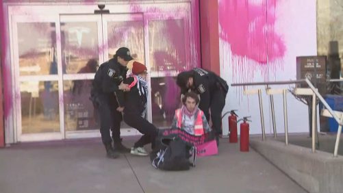 "No tengo quejas a los propietarios de Tesla", dice el activista que roció un concesionario de pintura rosa
