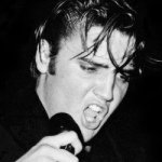Beacons profile picture for @elvis