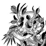 Beacons profile picture for @evils