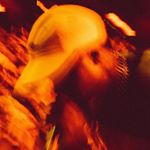 Beacons profile picture for @idk