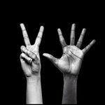 Beacons profile picture for @raptors